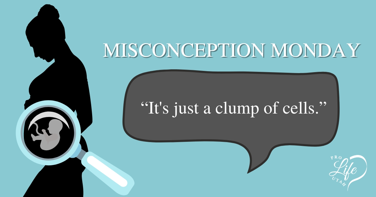 Misconception Monday: Clump of Cells